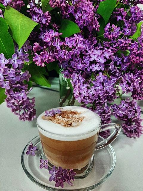 Алмазная картина велосипед Алмазная вышивка мозаика цветок вышивка крестом мозаика ремесла комплект украшения дома