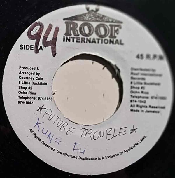 7-дюймовая пластинка FUTURE TROUBLES Kung Fu NONE Roof Internatio 1994 Ямайка Регги Ска Даб Б/у