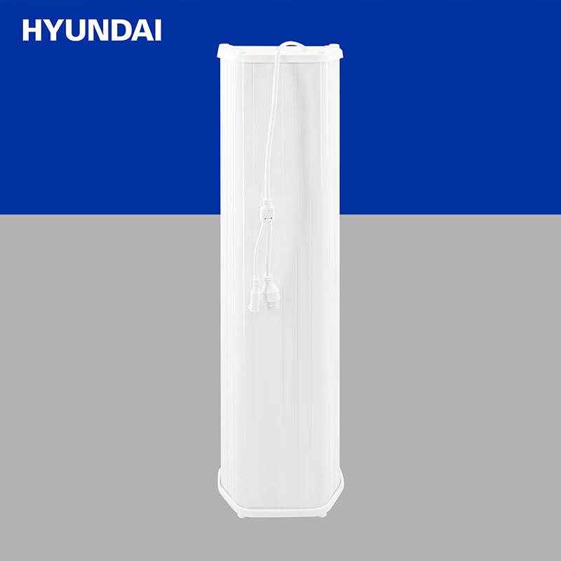 Hyundai IP Network Broadcasting Audio Systems CN plug (adapter included) (CN version)