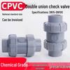 CPVC Double Union One-Way Check Valve - Adhesive Backflow Preventer