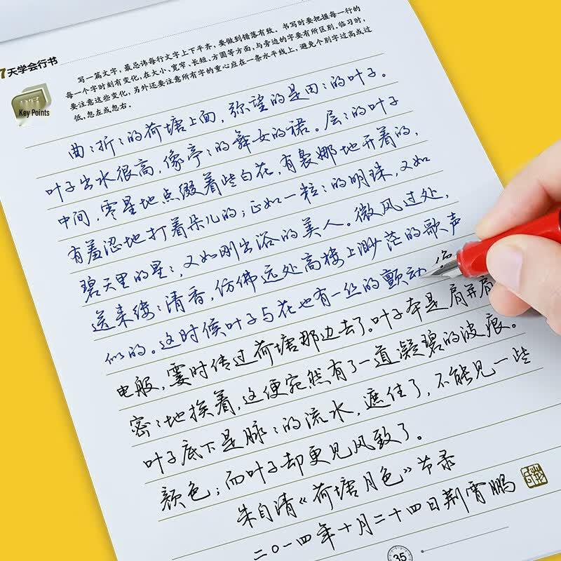 Книга для практики каллиграфии с чернильными точками Цзин Сяопэна