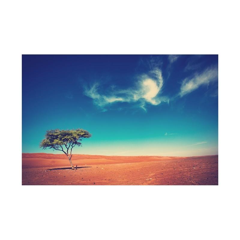 Фон для фотосъемки серии «Пустыня» с природными пейзажами, фон для фотосъемки, студийные принадлежности, реквизит, домашний декор