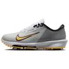 Nike Air Zoom Infinity Tour 2 'Pure Platinum Black Topaz Gold' Men's FD0218-103