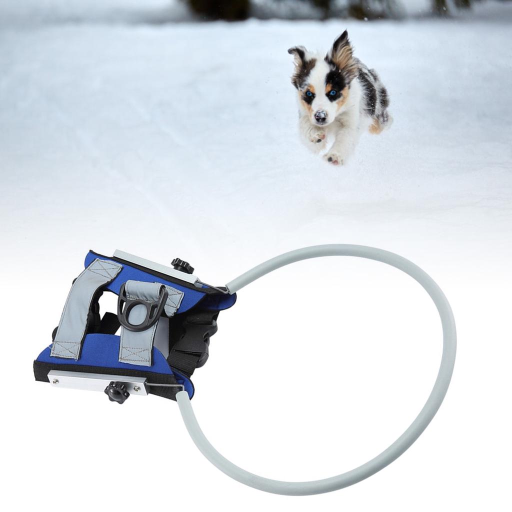 Светоотражающий регулируемый дышащий бампер-гало для слепого питомца, предотвращающий столкновения, шлейка для слепой собаки, направляющее устройство