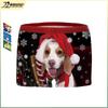2024 Spring Women's Christmas Print Boxer Briefs - Hot Selling New Arrival