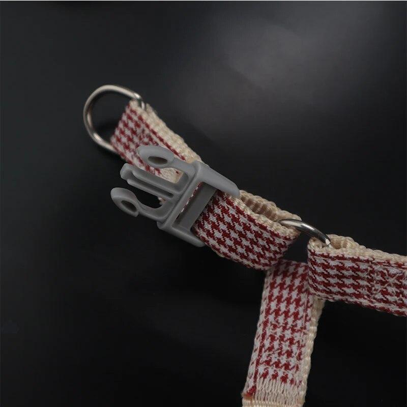 Комплект поводка и ошейника для собаки, милый шлейка для котенка, морской звезды, полосатый хлопковый поводок, 4 цвета для маленьких собак, поводки, аксессуары для кошек