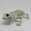 Halloween Animal Skeletons Dog Bat Frog Scorpion Spider Snake Rat Bone Skeletons for Halloween Party Haunted House Graveyard Scene Decoration