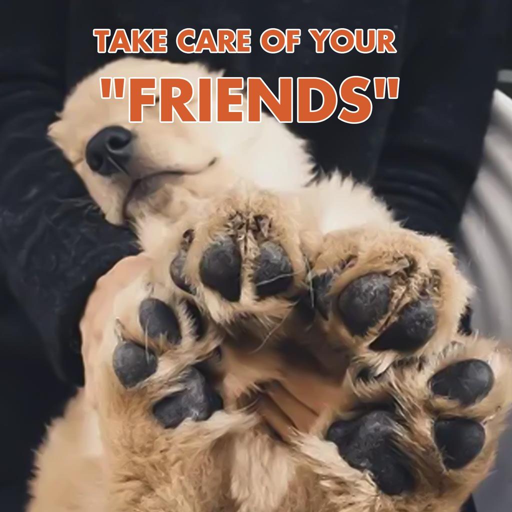 Бальзам для домашних животных для исправления потрескавшихся лап, защитное масло для подушечек лап кошек и собак, успокаивающее и увлажняющее