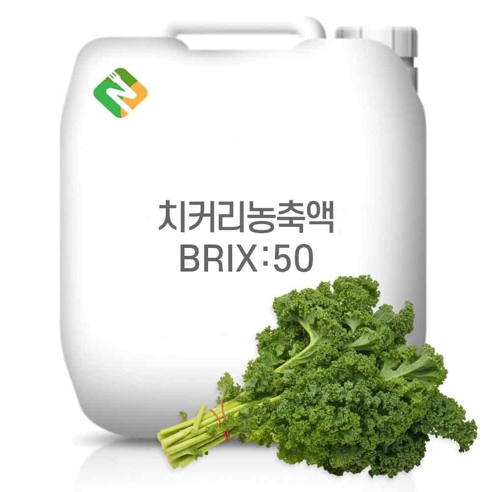 Chicory Concentrate 50 Brix 20 kg 1 pcs