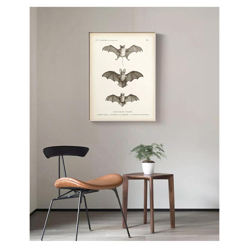 Художественная картина на холсте, антикварный постер с изображением летучей мыши, настенная картина для гостиной, украшения дома, винтажный принт с летучей мышью, стена на Хэллоуин