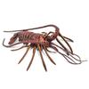 Safari Ltd. Rock Shrimp Figure 100076, Popular Toys In Korea