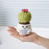 Positive Crochet Ball Cactus with Encouraging Card Emotional Support Handmade Knitting Potted Succulent Doll Toy Decoration Ornament