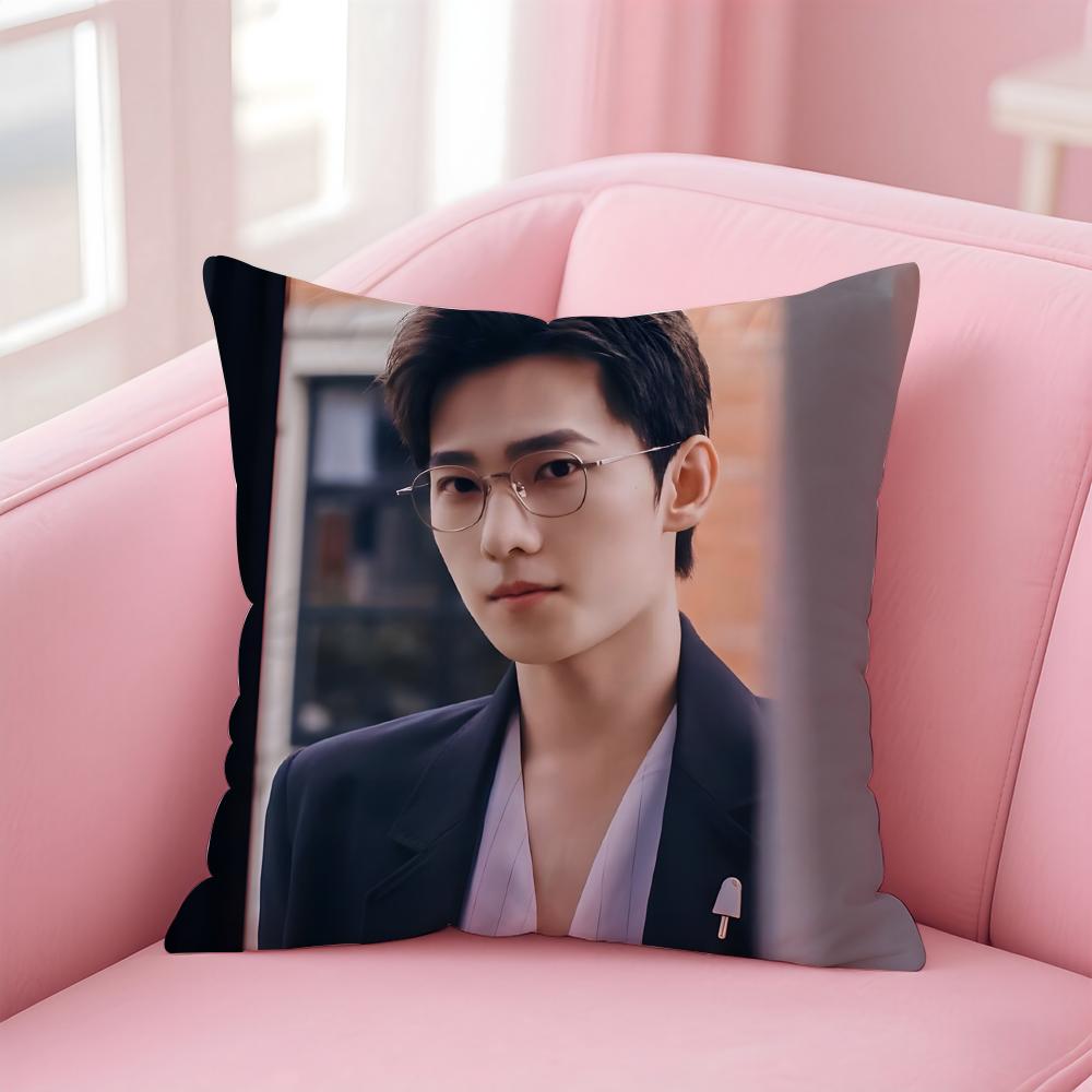 actor handsome YYang Yang Cushion Cover Pillow Case Soft Skin Friendly Fabric Concealed Zipper