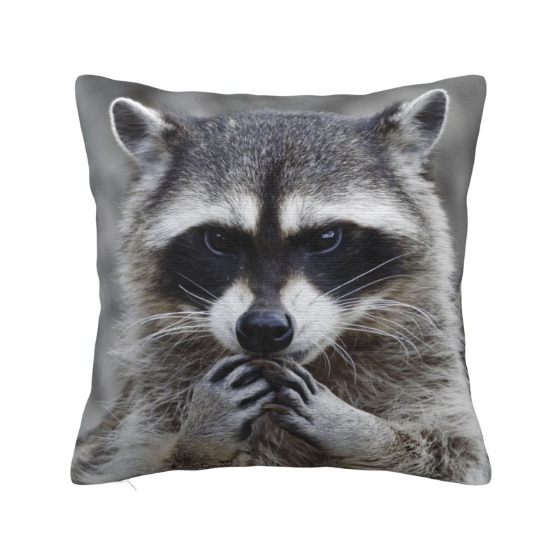 Funny Raccoon Throw Pillow Case cm Sofa Cushion Cover Velvet Polyester Pillowcase Doublesided Printing