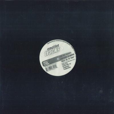 12-дюймовая пластинка KEVIN YOST - A Place Between Two Mountains EMT3221 Emotive Tracks 1996 US Dance & Electronica