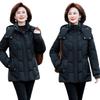 2025 Winter Down Cotton Jacket Thickened Cropped Padded Jacket Women's Autumn and Winter Warm Cotton Jacket