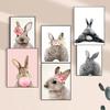 1 шт. Горячая банка Eckart Wow The Animals Rabbit Bubble Gum Art Poster HD Posters Home Room Bar Cafe Decor Art Wall Painting Picture