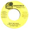 7inch Record LUTAN FYAH - What We Need NONE DASVIBES PRODUC 2006 Jamaica Reggae, Ska & Dub Used