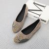 Spring New Flat-bottomed Pointed Single Shoes Women's Leisure