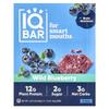 Plant Protein Bar, Wild Blueberry, 12 Bars, 45G (1.6Oz) Each