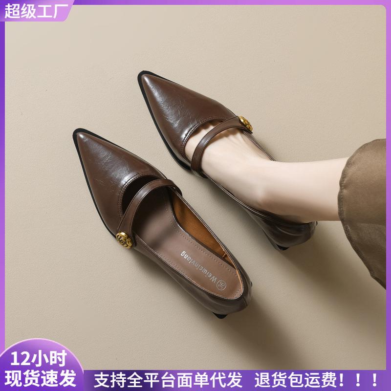Pointed Single Shoes Women's Thick Heel Retro High Heels Shallow Mouth Camellia Mary Jane Shoes