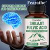 Shilajit Fulvic Acid 20% Capsules (filler-free) – Supports memory and brain function 120 capsules