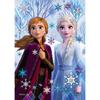 Epoch 108 Piece Jigsaw Puzzle Disney Elsa & Anna -icy White- [Puzzle Decoration] (18.2x25.7cm)