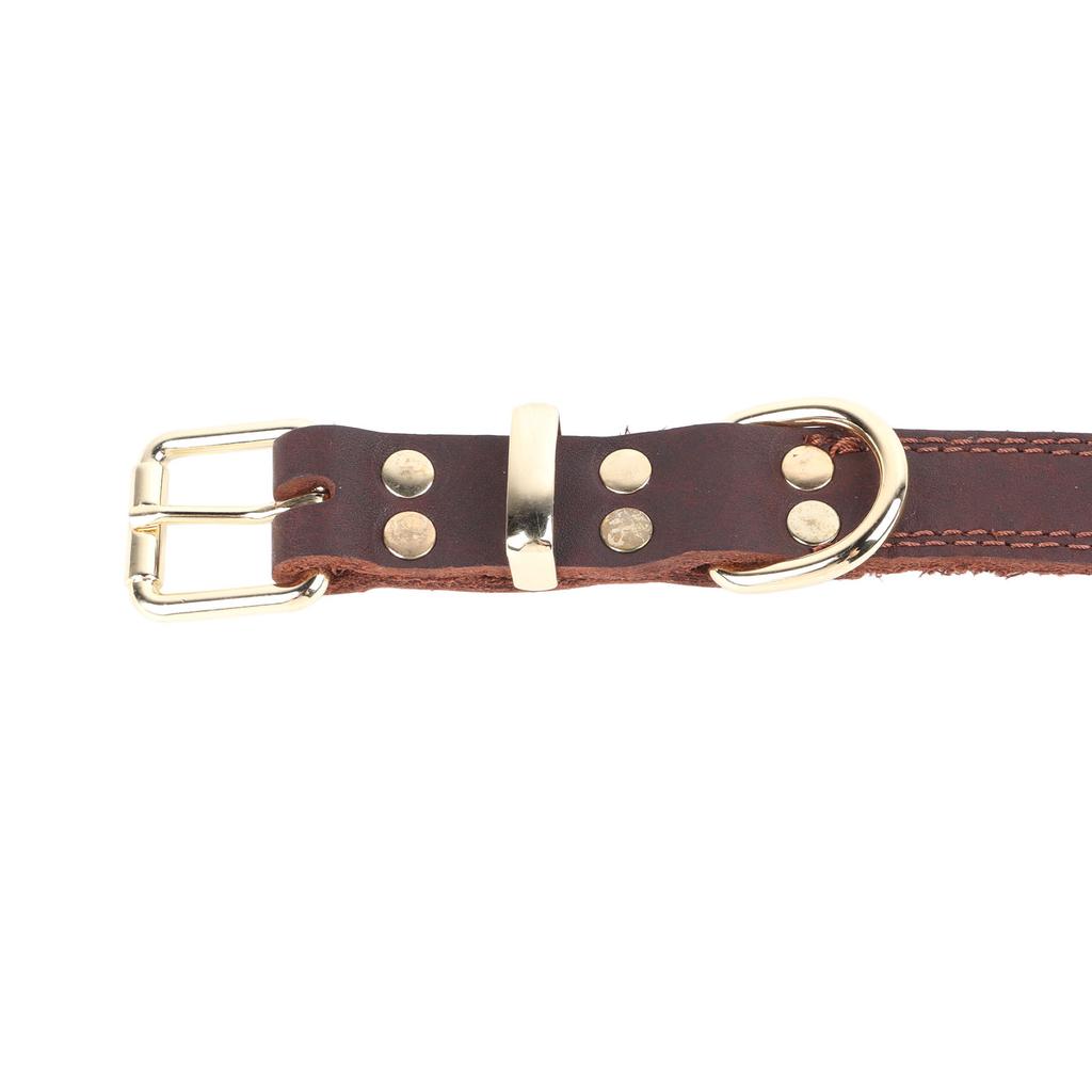 Dog Collar Adjustable Faux Cowhide Soft Padded Leather Dog Collar with Metal Buckle for Medium Dogs