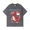 275 GSM Washed T-shirts 100% Cotton Pokemon V23 Charmander Print Unisex Heavy Cotton T Shirt
