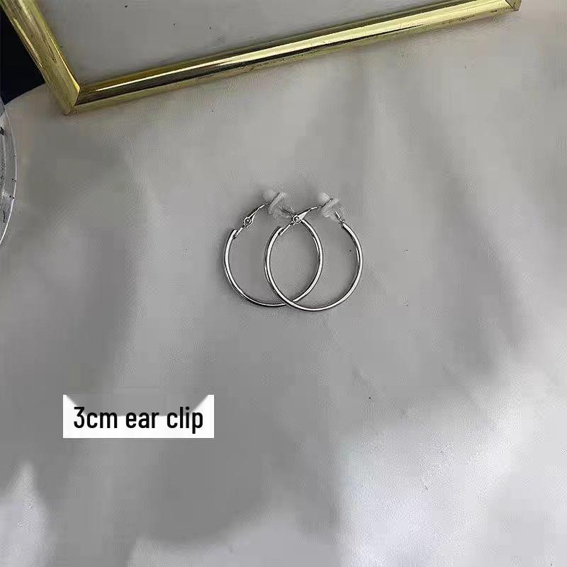 Women's High-End Plain Hoop Earrings: Light Luxury Ear Drops & Studs, Niche Design for Autumn/Winter.