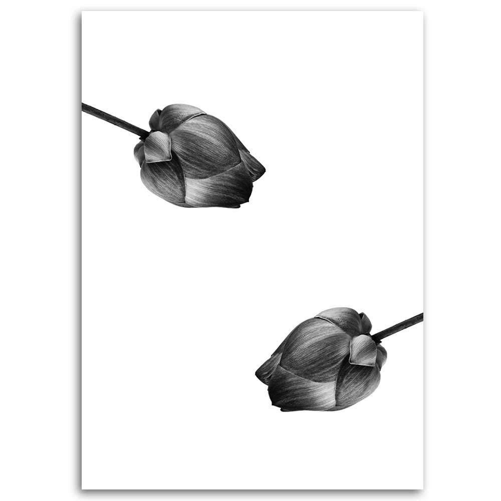 Canvas print, Two grey flowers