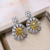 Super Flash Drop Zircon Earrings Female Fashion Flower Crystal Earrings Party Birthday Bohemian Style Jewelry