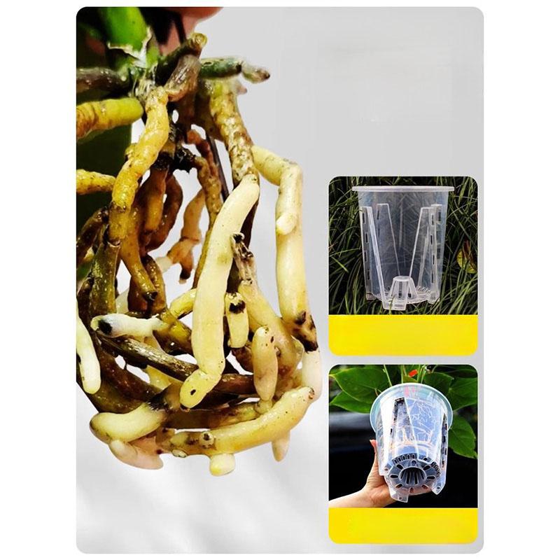 12 см для орхидей горшок для выращивания растений прозрачный белый утолщенный цветочный горшок дышащий контроль корней растений пластиковый высокий цветочный горшок B4