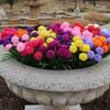 1 Branch Faux Flower No-watering Fresh-keeping 7 Heads Indoor Outdoor Elegant Fake Hydrangea Flower Party Decor