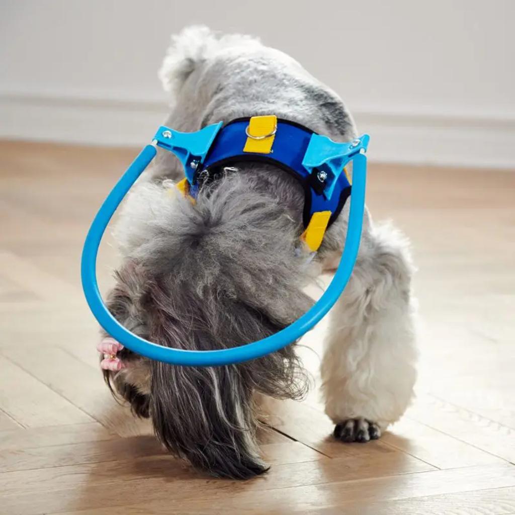 New Protective Blind Pet Anti-collision Guide Training Behavior Aids Collar for Small and Big Dogs - Prevent Collisions - Essent