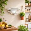 Plastic Display Storage Rack Wall-Mounted Mushroom Shelf Small Mushroom Stand  Office Desk
