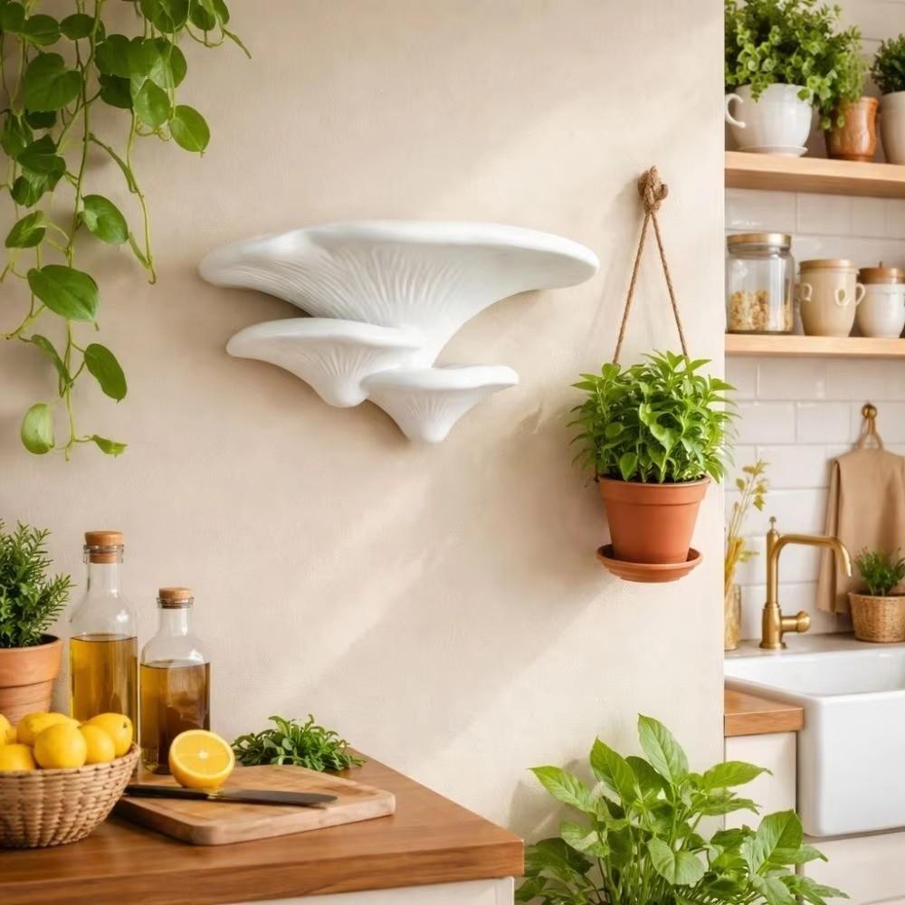 Plastic Display Storage Rack Wall-Mounted Mushroom Shelf Small Mushroom Stand Office Desk