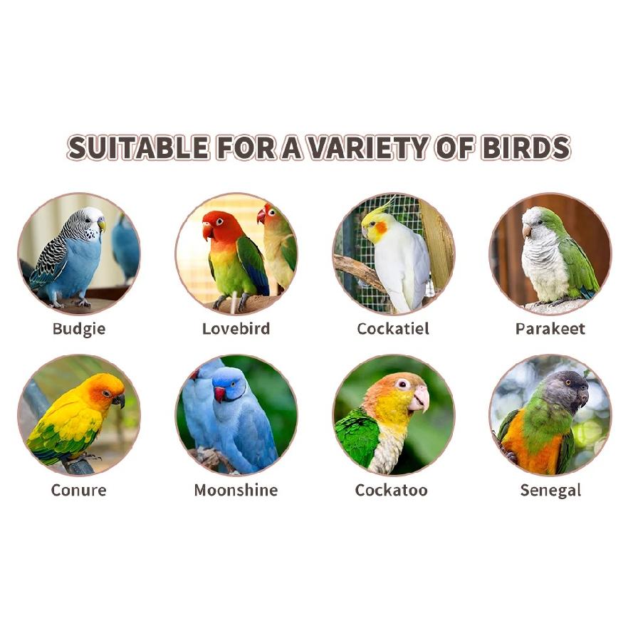 Bird Perches, 6pcs Natural Wood Birds Stand Branch Bird Perch Chewing Stick Cage Accessories Climbing Standing Branches Paw Sets