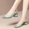 Summer Woman Sandals Open Toe Pumps Back Strap Mid Heels Dress Shoes Peep Toe Ladies Shoes