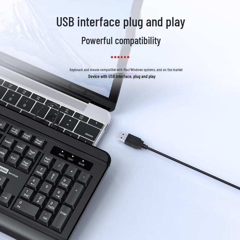 Lenovo KW51 Wired Office Keyboard