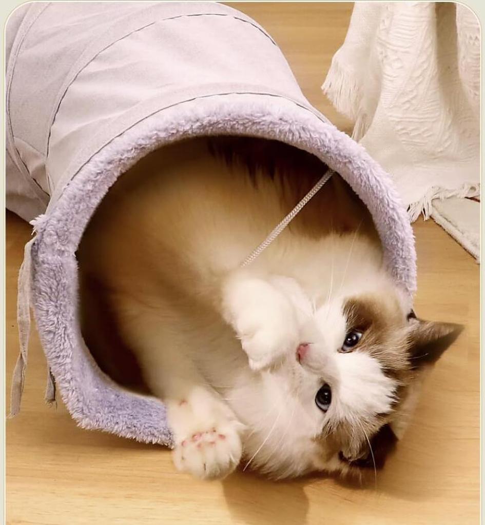 KANSITA Cat Tunnel Cat Toy Cat Tunnel with 4 Holes Foldable Cat Toy Stress Relief Convenient Storage Pet Tunnel Cat Tunnel Suede Interesting Hidden