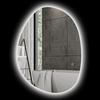 Illuminated Bathroom Mirror, Asymmetrical Shape, 80 x 60 cm, LED Lights, 3 Light Colors, Anti-Fog Function, Silver