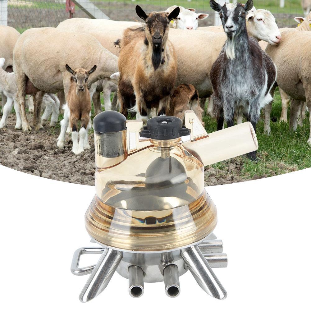 Steel Base 160 Claw Milk Cluster Milking Trace for Sheep, Cattle. Milk Collector Tool with Valve, Straight