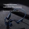 SANAG B51S Pro Bone Conduction Sport Earphones