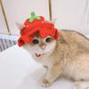 Cute Cat Hat Refined Knitted Hat New Pet Headwear