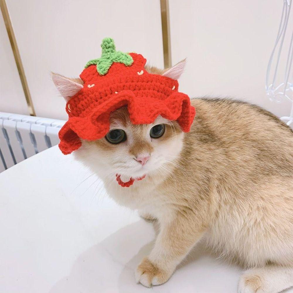 Cute Cat Hat Refined Knitted Hat New Pet Headwear