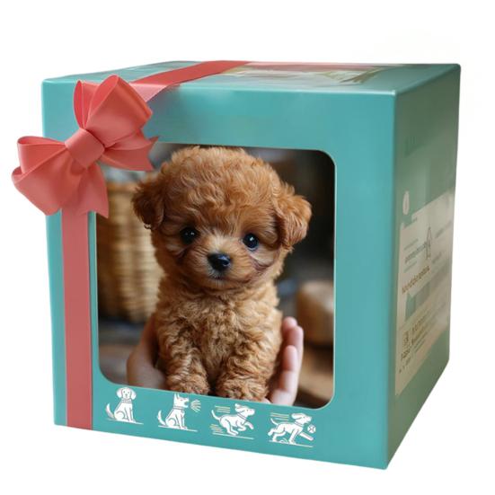 Плюшевая сидящая коала, имитация, мягкая набивная игрушка, уютная собака, панда, коала, плюшевая кукла для детей, рождественские подарки