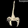 Scorpion Horror Home Mouse Bat Party Artificial Skull Trick Props Plastic  Bones Animal Skeleton