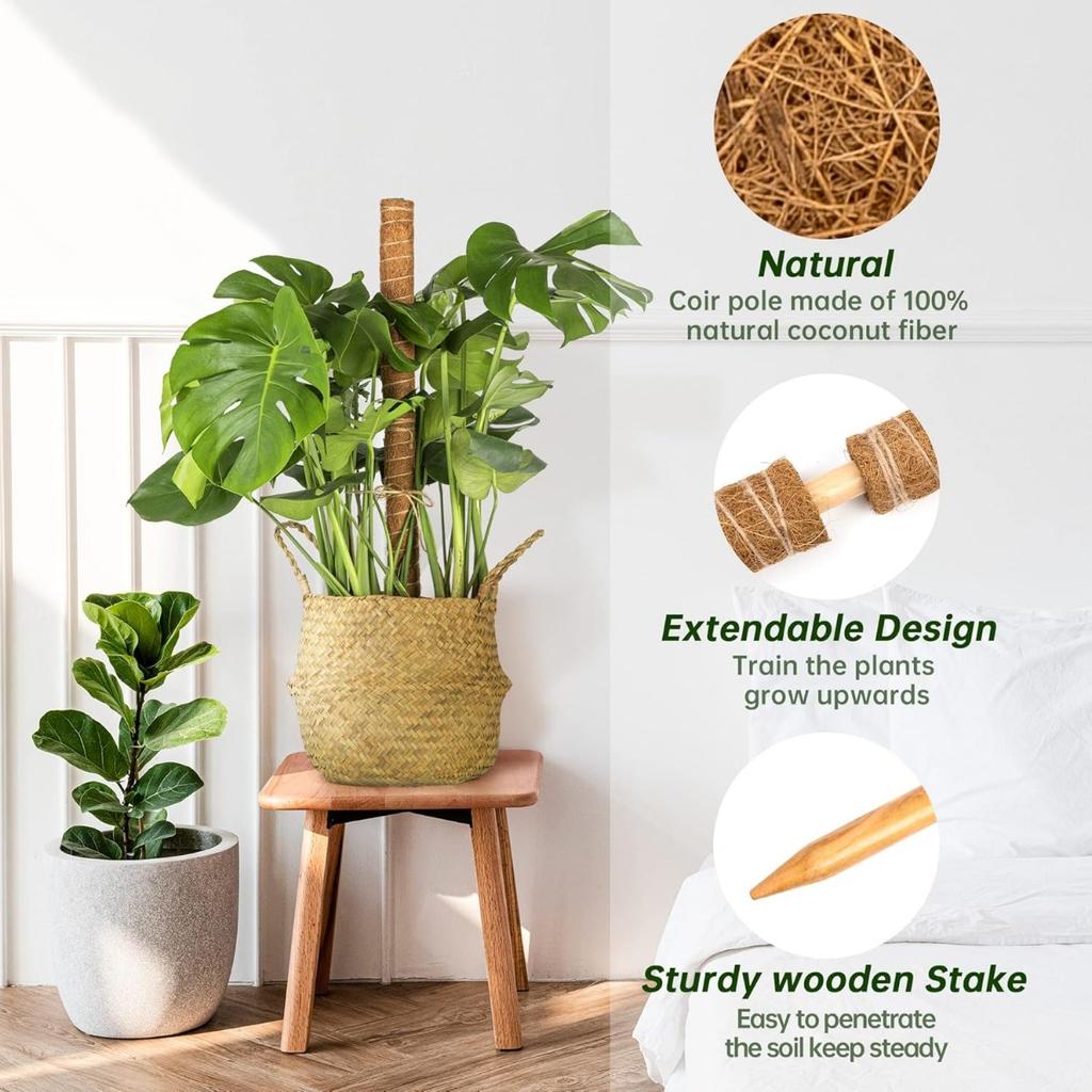 Monstera 30cm Moss Stick Plant Pole for Climbing Plants Coir Totem Plant Support for Indoor Potted Plants Train Creeper Plants Grow Upwards