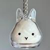 Pet Hair Transparent Rabbit Hair Organizer Pendant Keychain Backpack Souvenirs Storage Capsule Pet Memorial Collection Bag